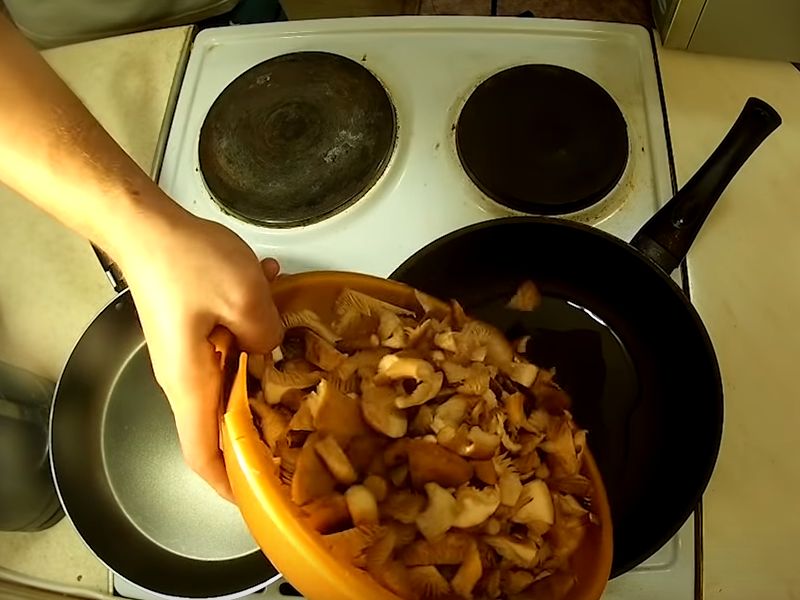 Сколько жарить грибы на сковороде по времени. Опята жареные с луком на сковороде. Жареная картошка с замороженными опятами на сковороде. Опята замороженные как пожарить. Сколько минут жарятся грибы.