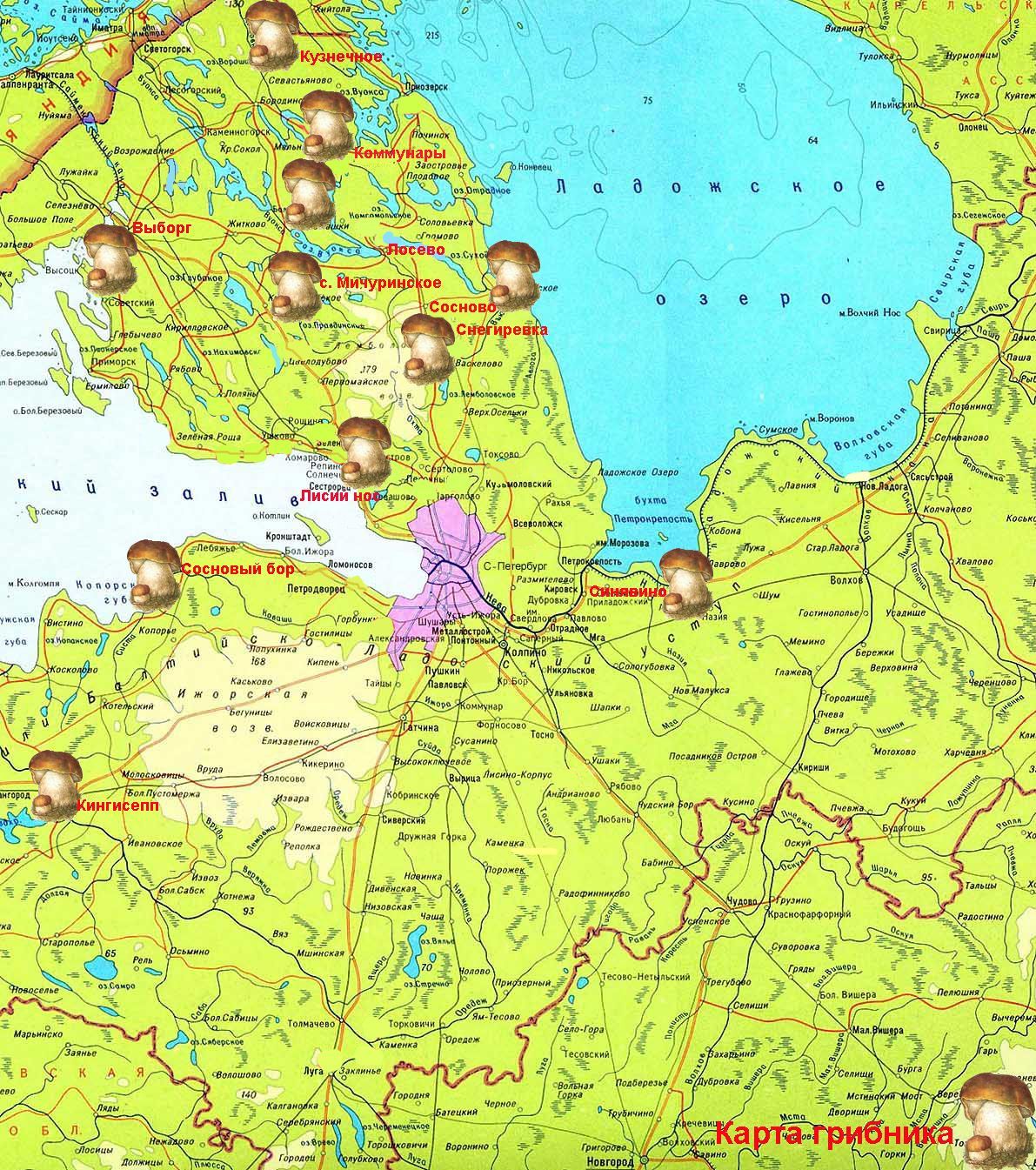 Карта ленобласти с городами и поселками на русском