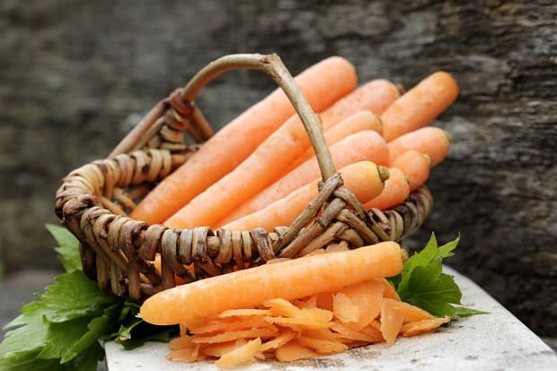 Калории морковь вареная. Насколько морковь сытная. Питательные вещества в моркови. Морковь калорийность. Морковь ккал на 100 грамм сырой.